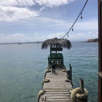   at Leaf Eaters Cafe in Bocas Del Toro