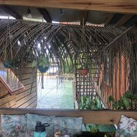   at Leaf Eaters Cafe in Bocas Del Toro