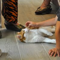   at Chat-Rivari Café in Paris