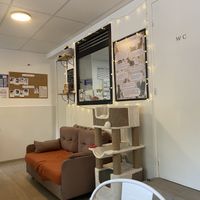   at Chat-Rivari Café in Paris