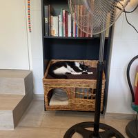   at Chat-Rivari Café in Paris