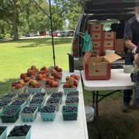 Fruit vendor at Mentor Farmers Market in Mentor