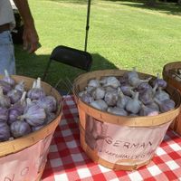 Garlic vendor at Mentor Farmers Market in Mentor