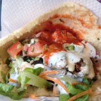 Falafel Gourmet at Falafel Gourmet in Nelson