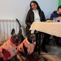 Well educated pets are welcome. at Baratza Kafea in Pamplona