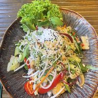 V6    at Silky Vegetarian in Dresden