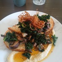 Mushroom medley at Sorensen's Glasshouse and Gardens in Leura