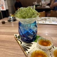 Sea grapes with dipping sauce  at Okinawa Bar Haisai Ginza Store in Tokyo