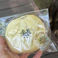 cream bread   at Bodel Bodel Bakery - 보들보들제빵소 in Anyang