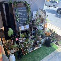 plant station   at Dainy Bakery - 다이니베이커리 in Busan