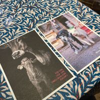 Cute cards and info material  at Das Voglhaus in Konstanz