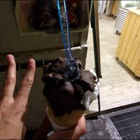 Vegan Ice Cream (chocolate and coconut with chocolate topping) at CamBio Vita in Rome