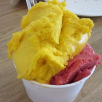 vegan icecream at CamBio Vita in Rome