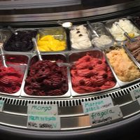 Vegan Gelatos at CamBio Vita in Rome