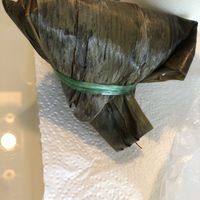 Nonya dumpling  at Fu Kang 富康素食轩 - Pasir Ris in East Singapore