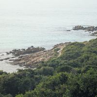 The view at Amelia's at The Plettenberg in Western Cape