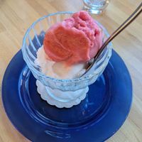 Blood orange and lemon sorbet at Al Bivio Hornbeam Park in Harrogate