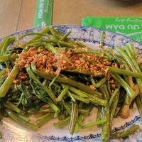 Morning glory at Hoa Ưu Đàm in Ho Chi Minh City