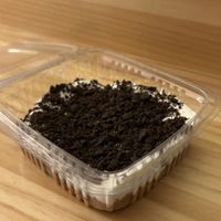  < 3  at Sansa Café in Sevilla