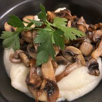Funghi piastrati su crema di cavolfiore at La Fraschetta Verde in Viterbo