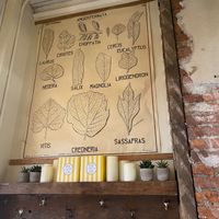 Illustrated plant poster on the wall at P.S. and Co. in Philadelphia