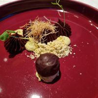  at Hotel Steiner in Salzburg