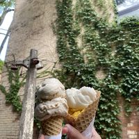 Left: maple and waffle cone. Right: dark & stormy and mango. All vegan  at Willard’s Ice Cream: The Second Scoop in Hamilton