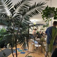 Nice atmosphere   at Meera Bakery Cafe in Campbell River