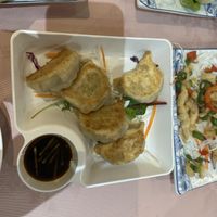   at Lotus Plant Based Kitchen in Manchester