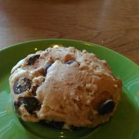 Vegan chocolate chip cookie at The Nook on Gottingen in Halifax