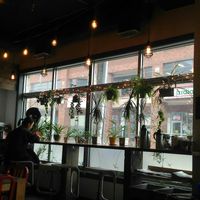 Plants at The Nook on Gottingen in Halifax