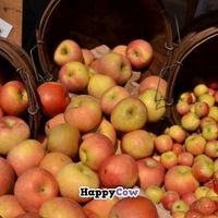 delicious apples at Farmer's Market in Hermosa Beach