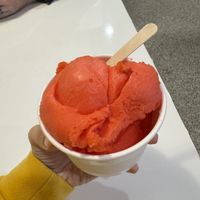 My vegan strawberry sorbet  at Screamers Ice Cream Cafe in Radium Hot Springs
