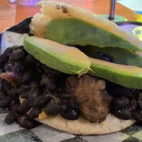 Arepa Vegana at VeneBites in Tallahassee