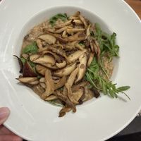 Mushroom risotto (requested vegan)  at Fava Tonka — Time Out Market Porto in Porto