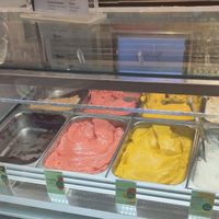 Les différents goûts vegan proposés at Venchi Cioccolato e Gelato, Torino Stazione Porta Nuova in Piemonte