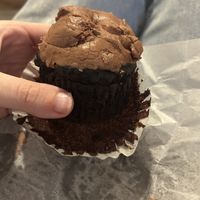 Vegan chocolate cupcake  at Little Cupcake Bakeshop  in New York
