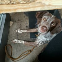 Kahlua enjoyed it also :) at Moehren Milieu Eco Cafe in Mainz