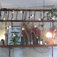 Decoration hanging on the wall at Moehren Milieu Eco Cafe in Mainz