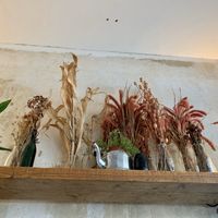 inside at Moehren Milieu Eco Cafe in Mainz