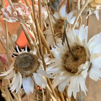 table at Moehren Milieu Eco Cafe in Mainz
