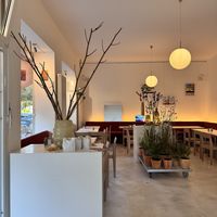   at Greentrees - Oberkassel in Dusseldorf