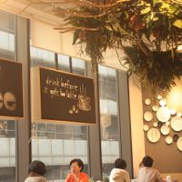 interior at OVOCafe - Wan Chai Rd in Hong Kong Island