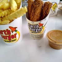 Vegan chicken fingers, agave mustard and fries at Earth Burger - NW Loop in San Antonio