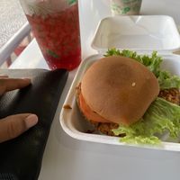 Spicy chicken sandwich vegan at Earth Burger - NW Loop in San Antonio