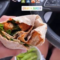 anything & everything from earth burger is my FAVV.   at Earth Burger - NW Loop in San Antonio