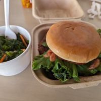  at Earth Burger - NW Loop in San Antonio