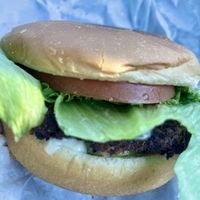 Quinoa burger   at Earth Burger - NW Loop in San Antonio