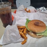 earther burger at Earth Burger - NW Loop in San Antonio
