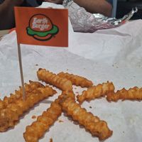 french fries at Earth Burger - NW Loop in San Antonio